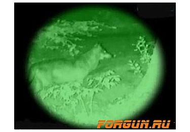 Прибор ночного видения (2+) Pulsar Challenger 1x21 без маски, 74094