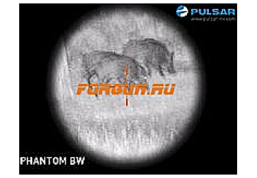 Прицел ночного видения (2+) Pulsar  Phantom 3x50 BW, 76057BWT
