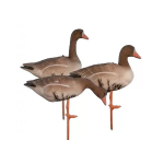 Чучела гусей белолобых Birdland комплект кормящихся на опоре, BR-052S/R/F-WFG