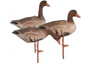 Чучела гусей белолобых Birdland комплект кормящихся на опоре, BR-052S/R/F-WFG