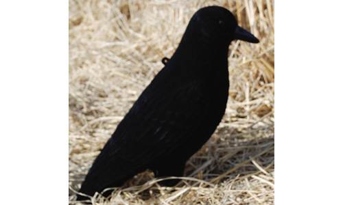 Чучело подсадное ворона черная Tanglefree D73410F